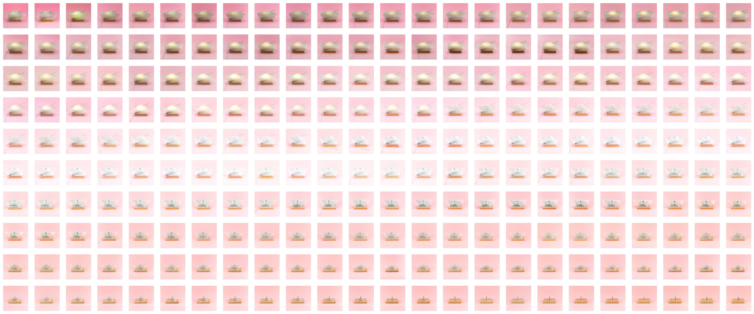 Licking War Wounds, long-term performance, photographic documentation, 2016 – 2021