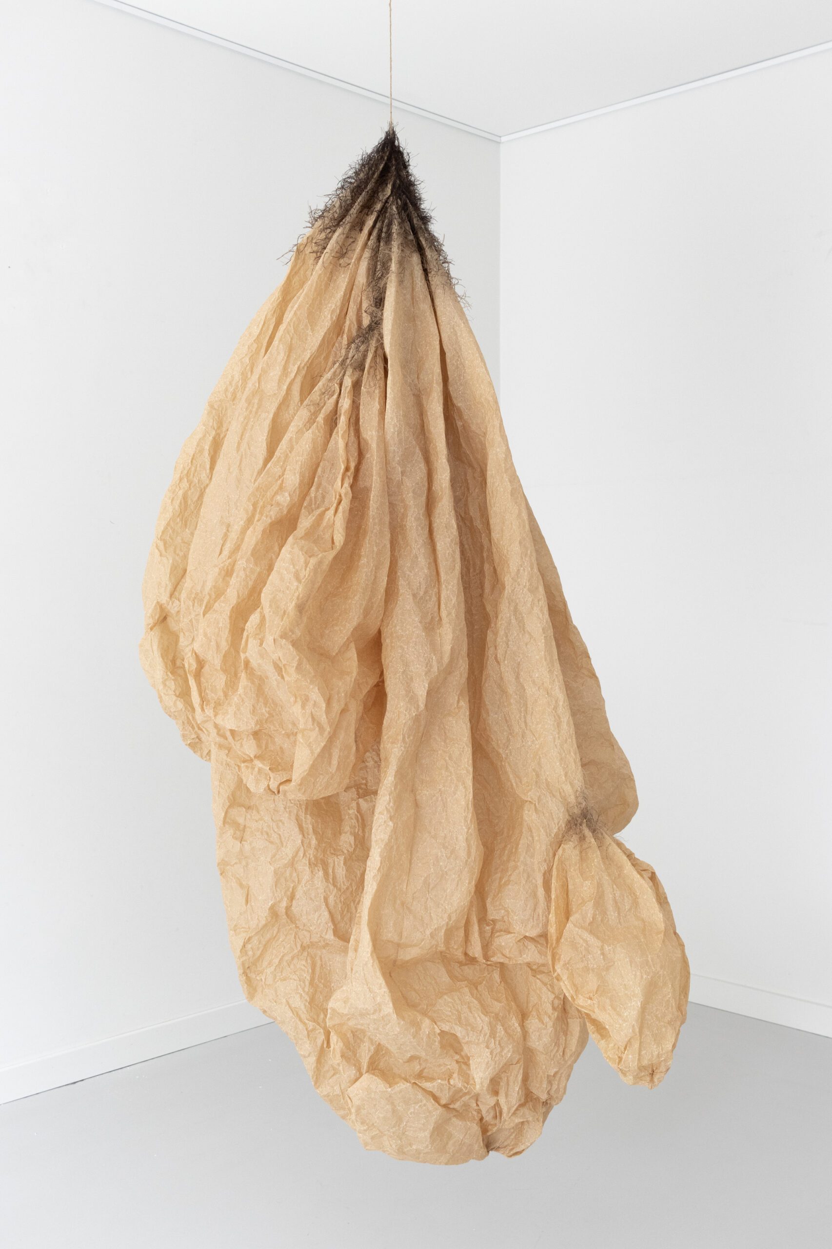 Kokon wielokrotny, papier do pieczenia, nici, sznur, 200x150x150
cm, 2024Multiple Cocoon
Baking Paper, Threads, Rope, 200×150×150 cm, 2024