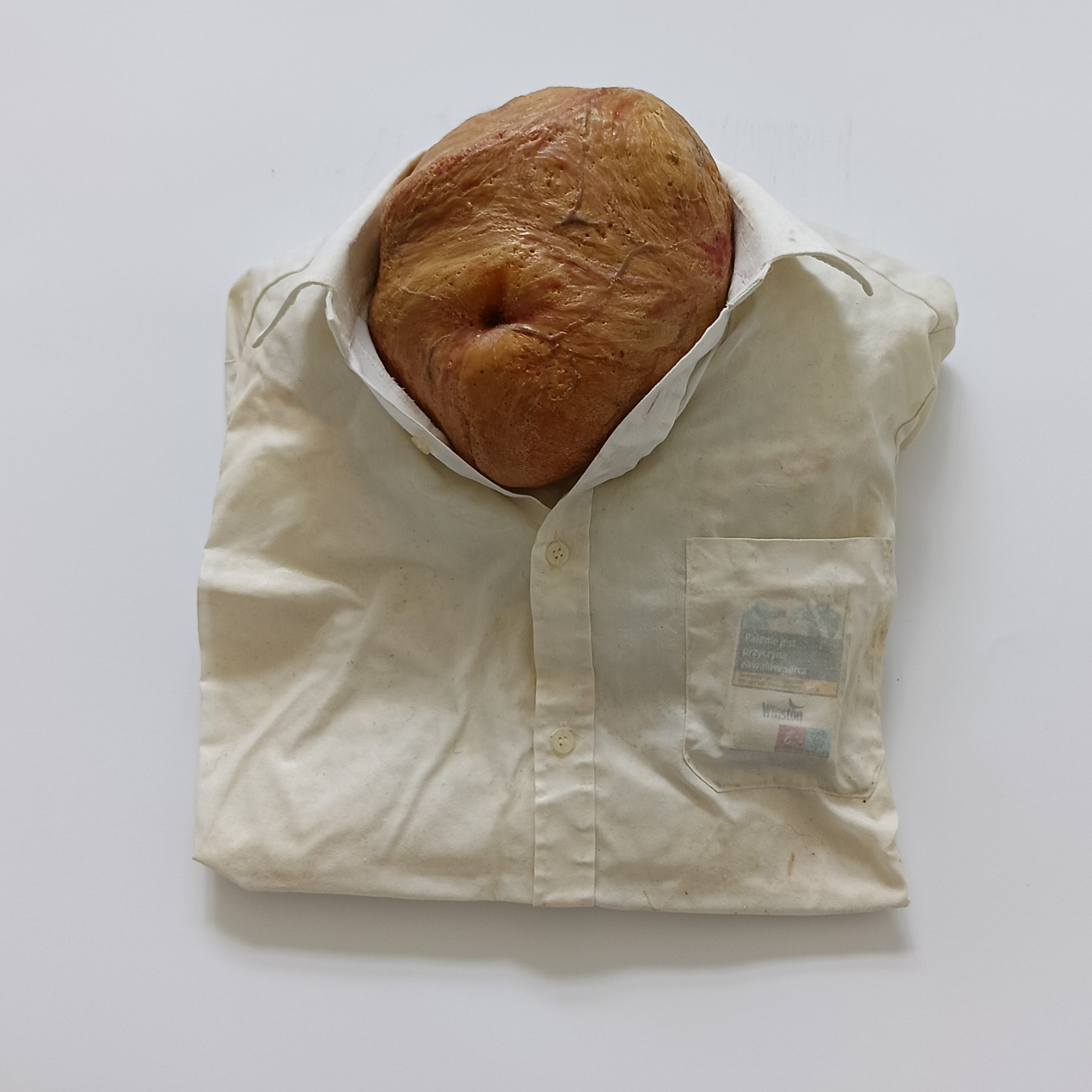 Bez tytułu, wosk, polistyren, ludzkie włosy/ technika własna, 45x30x15 cm, 2024