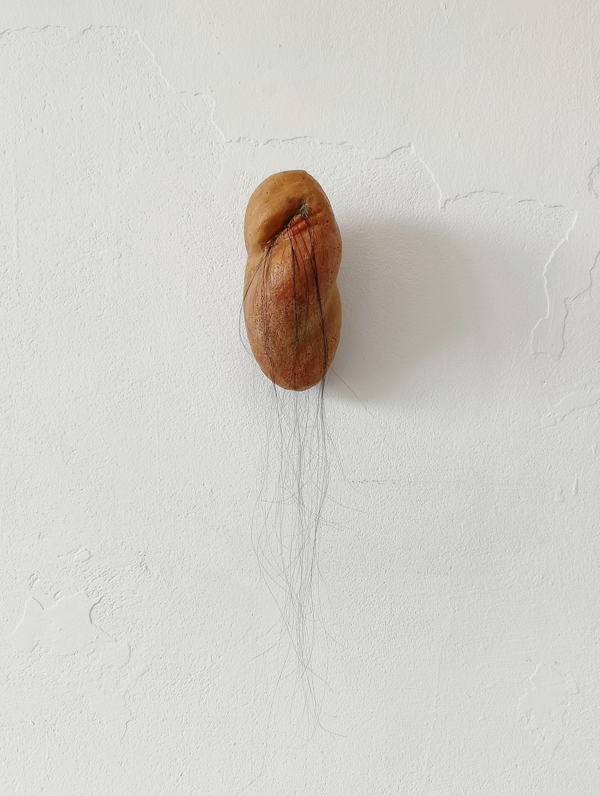 Bez tytułu, wosk, polistyren, ludzkie włosy/ technika własna, 60x12x15 cm, 2024