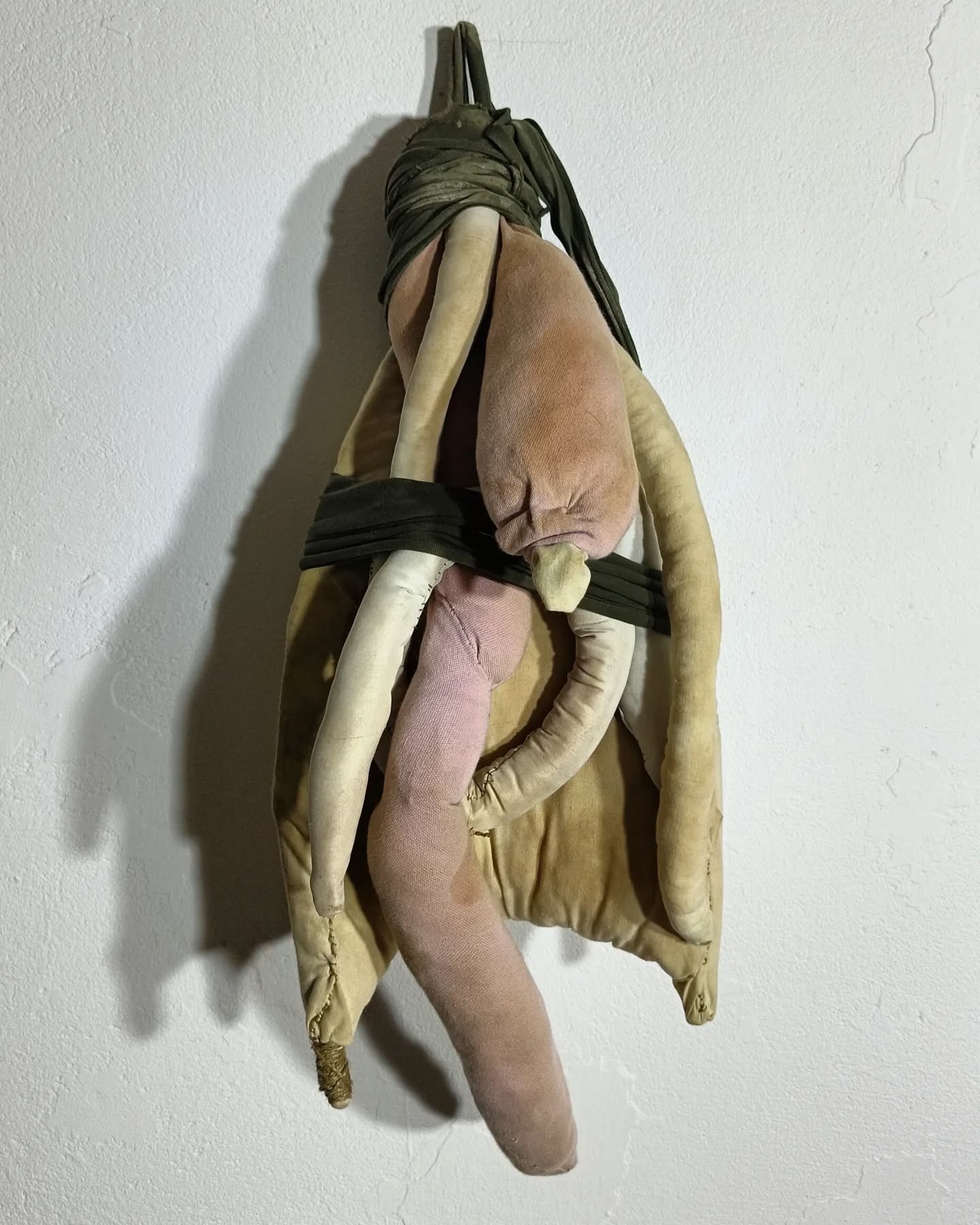 Synekdocha (z serii), bawełna, włókno poliestrowe, 60x30x40 cm, 2023
