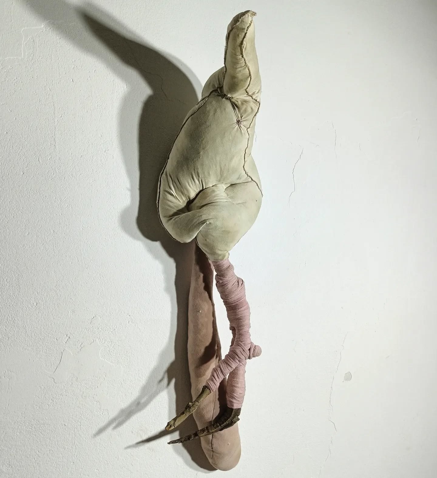 Synekdocha (z serii), bawełna, włókno poliestrowe, drewno, 80x0x40 cm, 2023