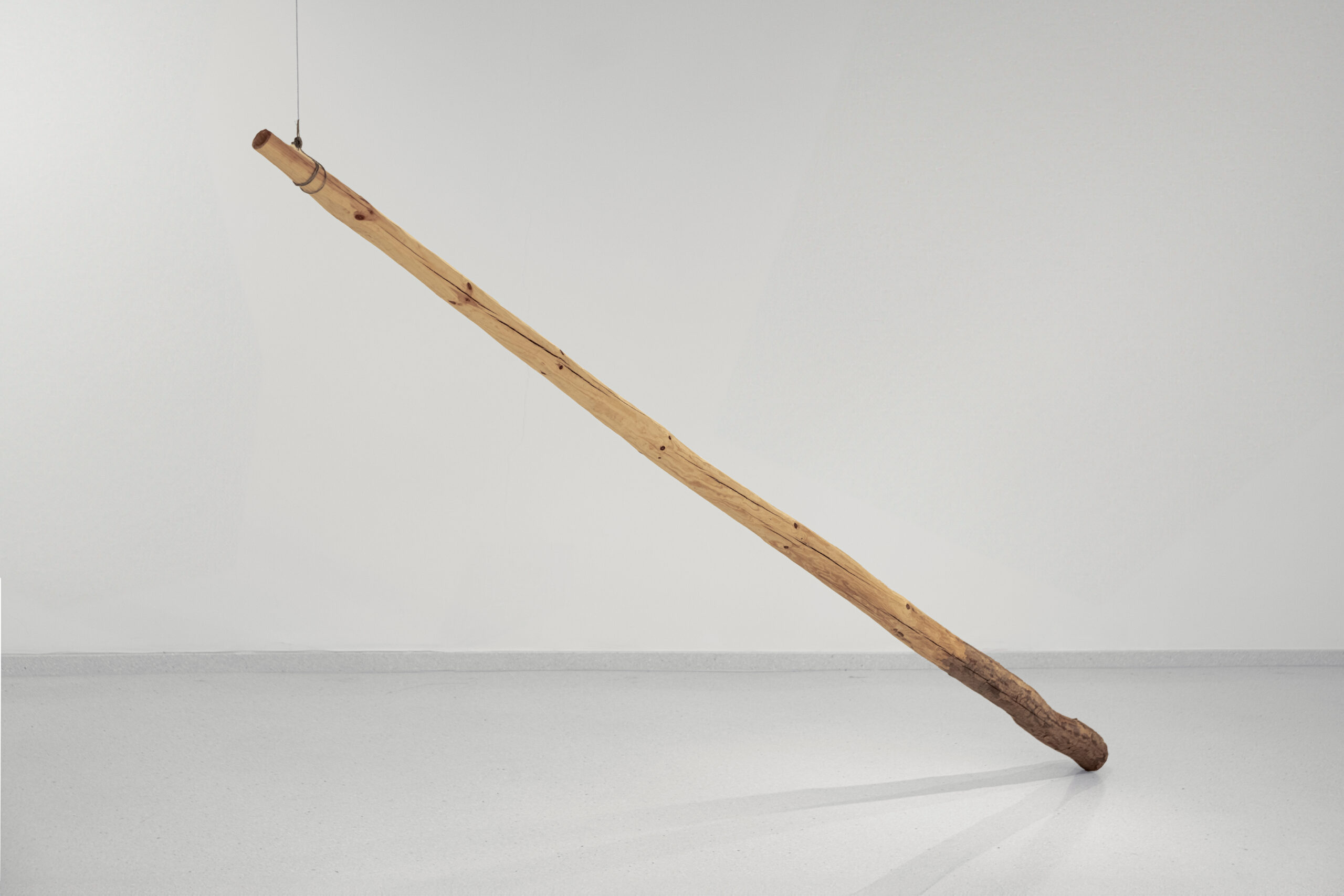 Trombita, technika własna, drewno, trociny, klej, 300x200x200 cm, 2024