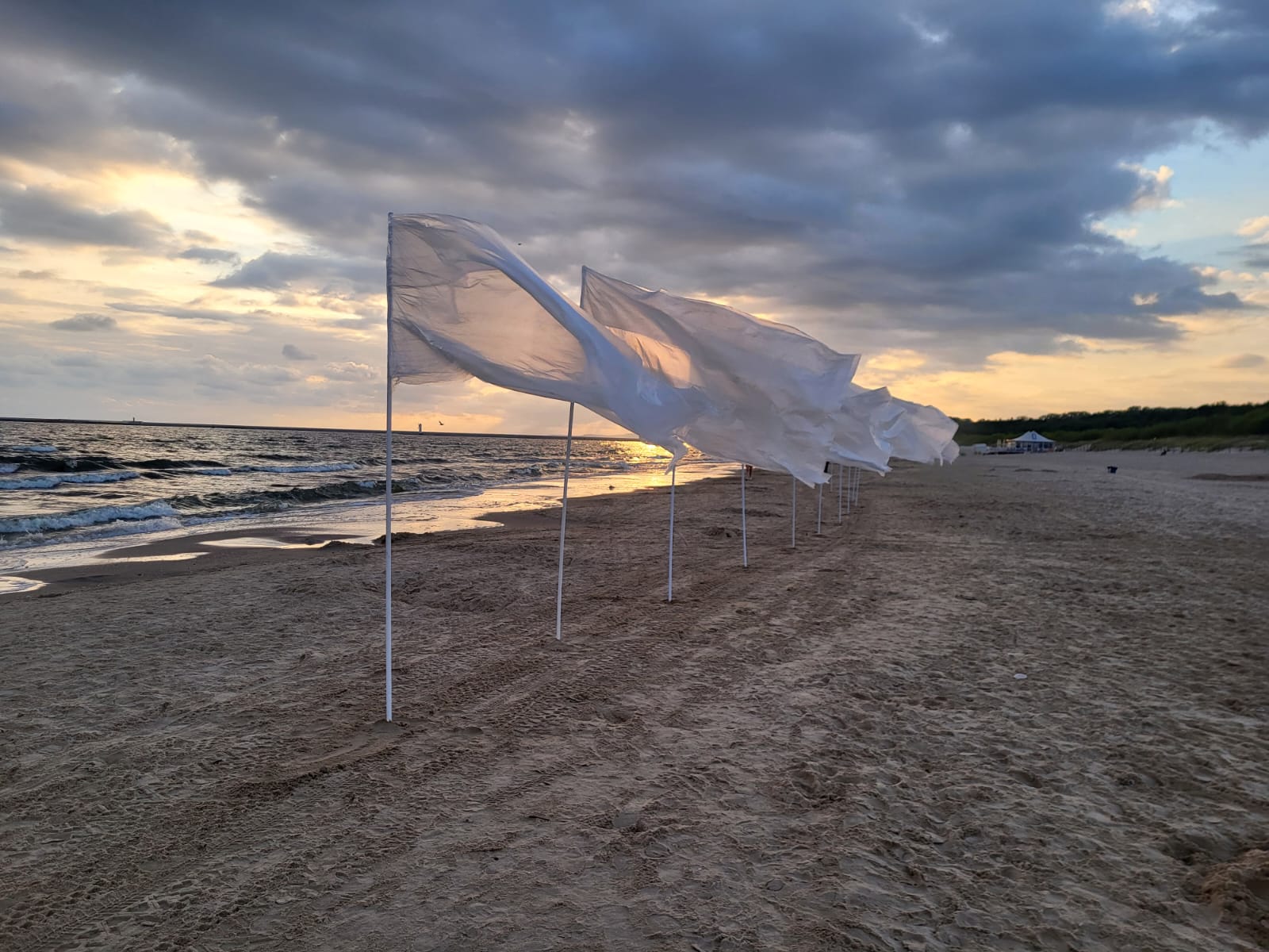 Widzę, jak wieje wiatr, instalacja złożona z 12 obiektów; każdy element składa się z folii o wymiarach
1,5×2,5 m oraz drewnianej tyczki o długości 2,4 m, 2025