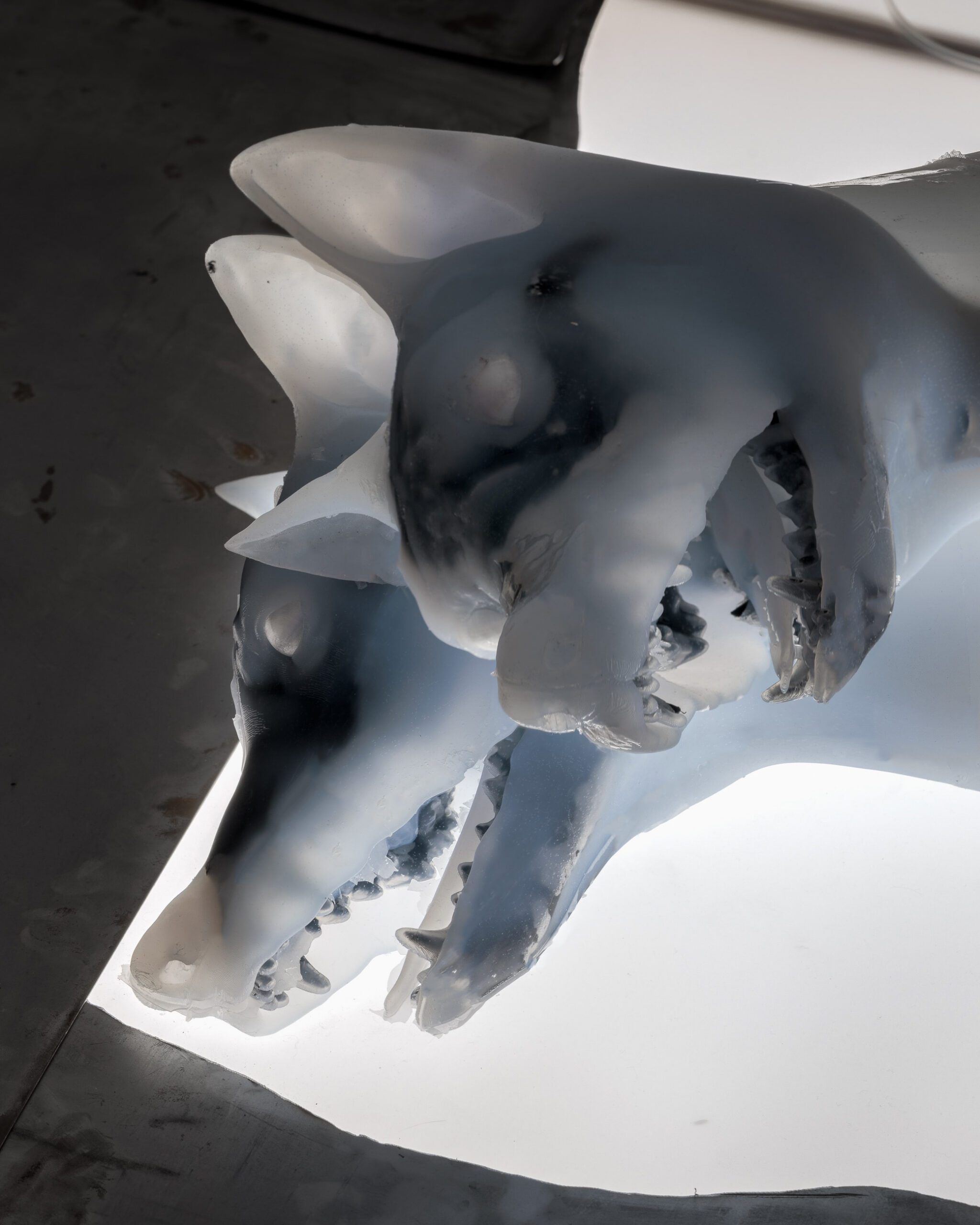 bezdech, obiekt pneumatyczny, silikon, wydruk 3D, stal, LED, Arduino, pompy powietrza,
50,5x134x111 cm, fot.: Szymon Sokołowski